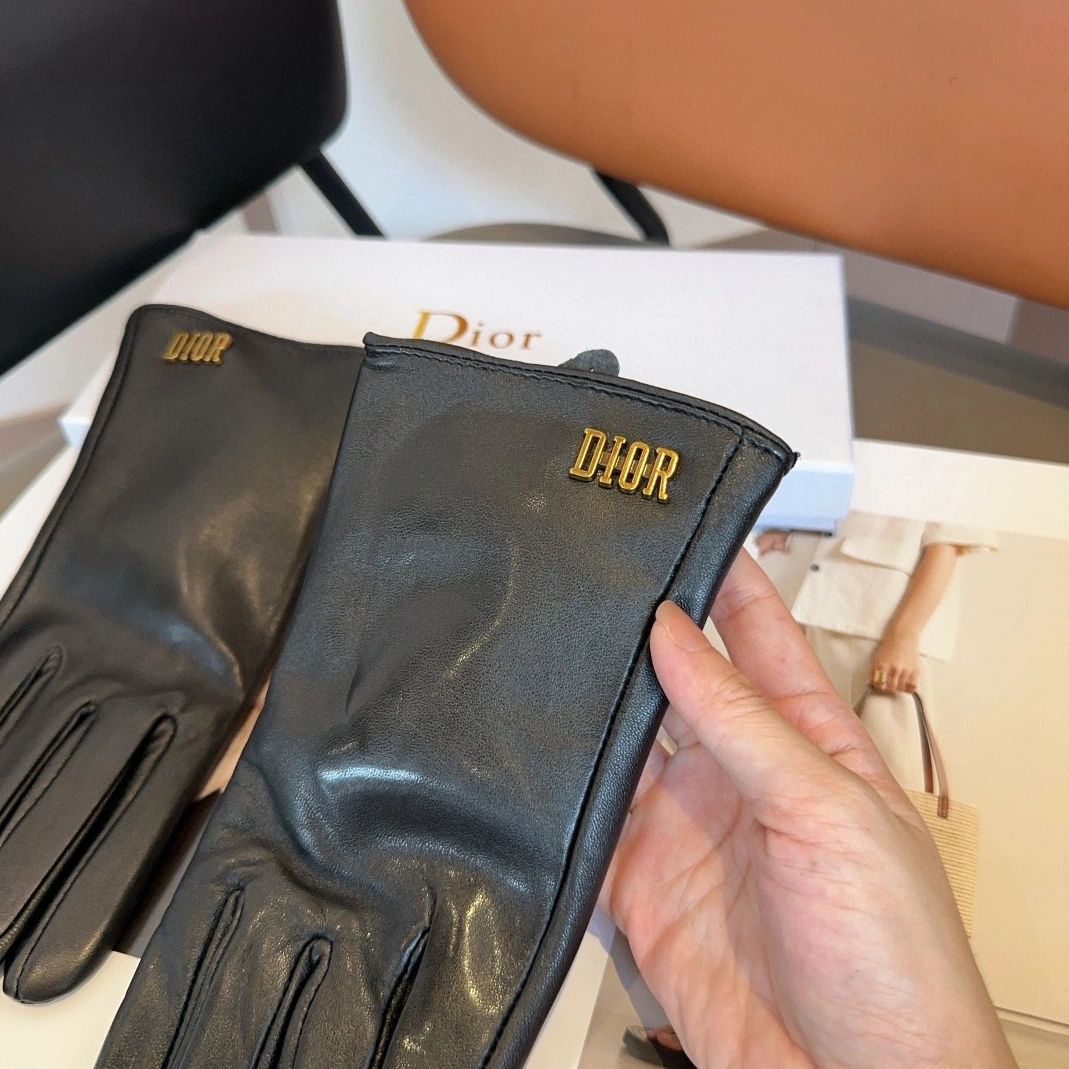 AllSeason 2999 Christian Dior Gloves - Image 5