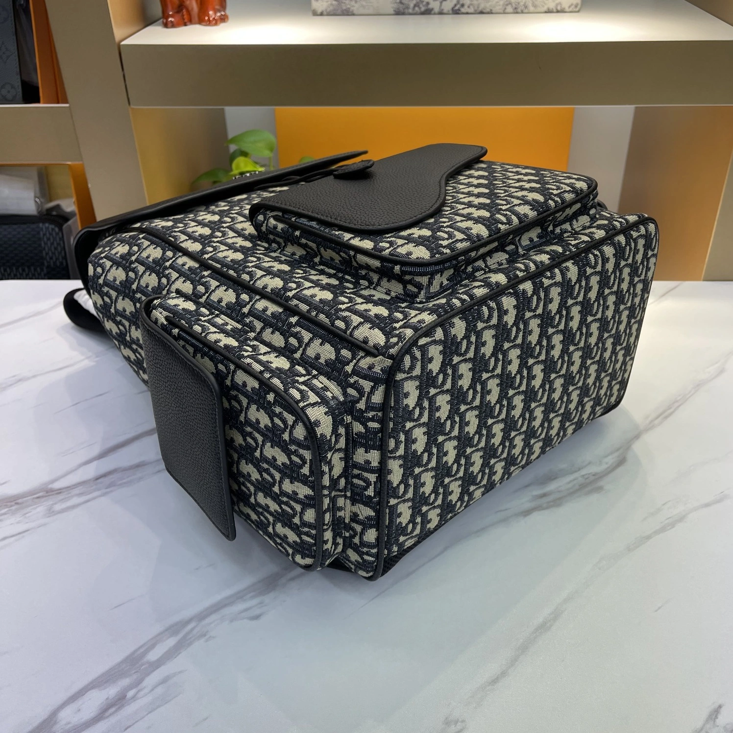 Bright 165 Christian Dior AAA Man Backpacks - Image 5