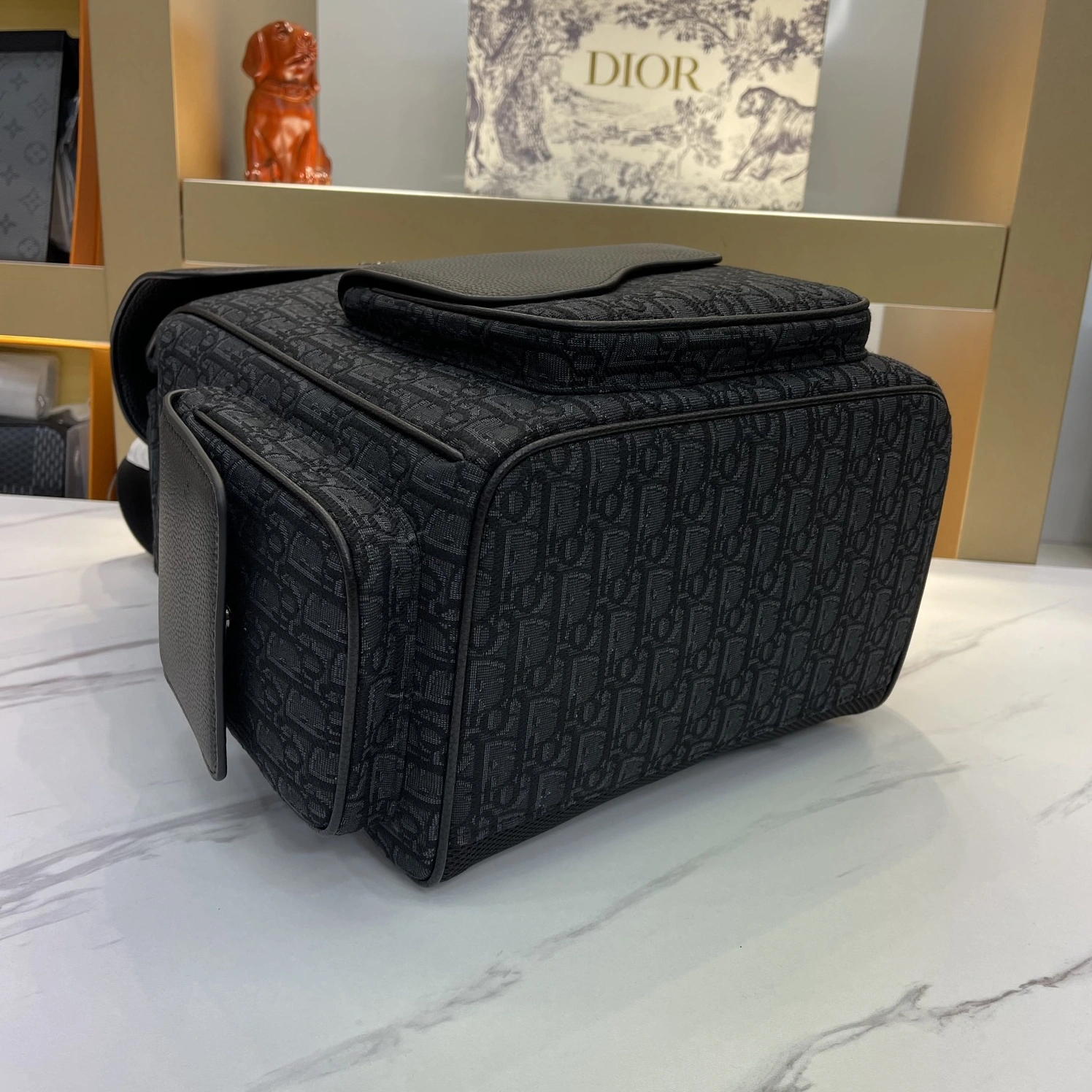 Christian Dior AAA Man Backpacks Classic 1466 - Image 5