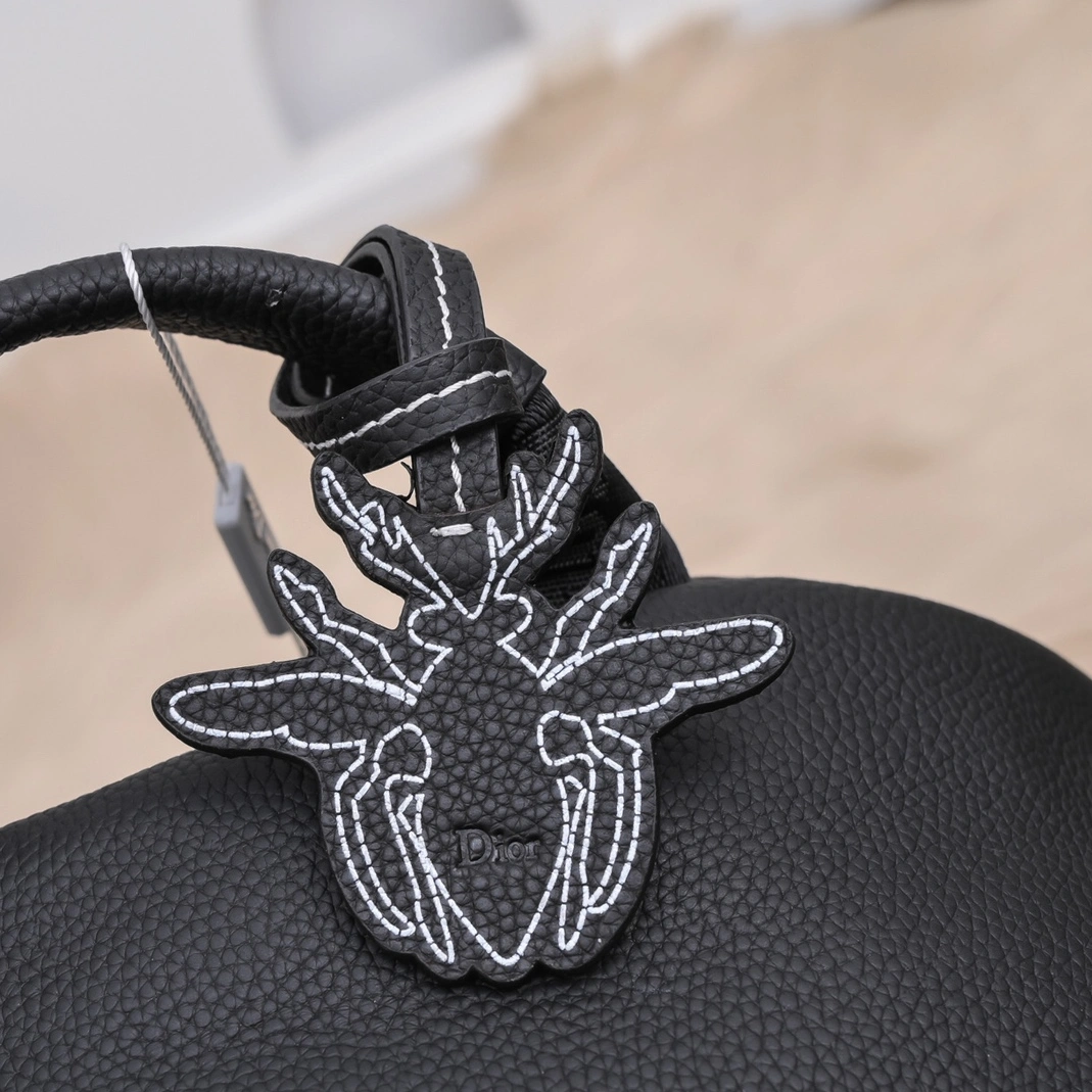 Christian Dior AAA Man Backpacks Elegant 2834 - Image 5