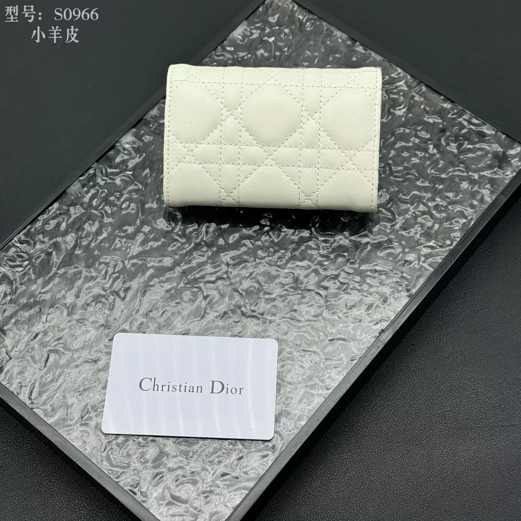 Christian Dior Card Case For Women EasyMatch 4935