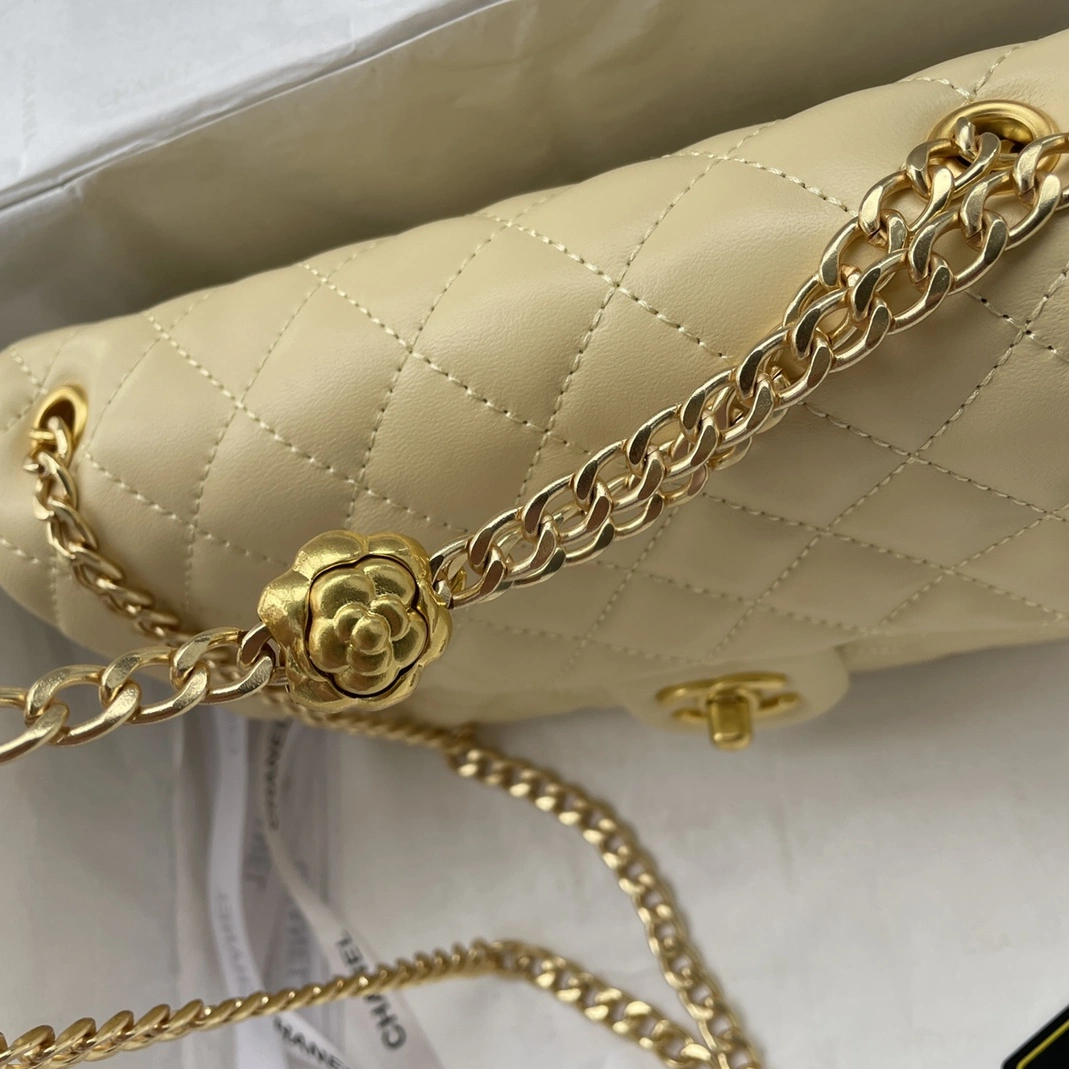 Elegant 2195 Chanel AAA Quality Messenger Bags For Women - Image 3