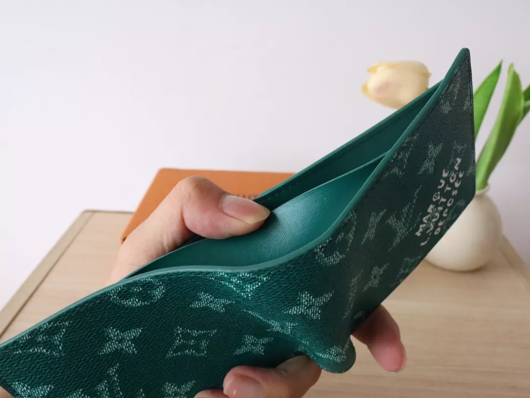 GoAnywhere 256 Louis Vuitton LV Wallets - Image 7