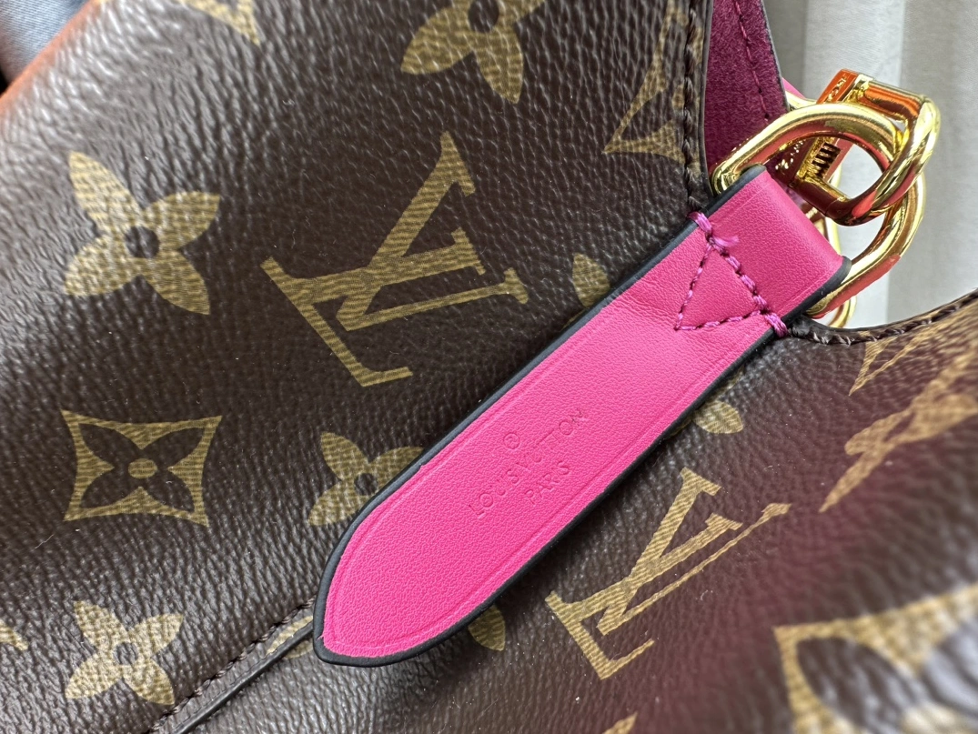 GoodFit 2950 Louis Vuitton AAA Quality Messenger Bags For Women - Image 7