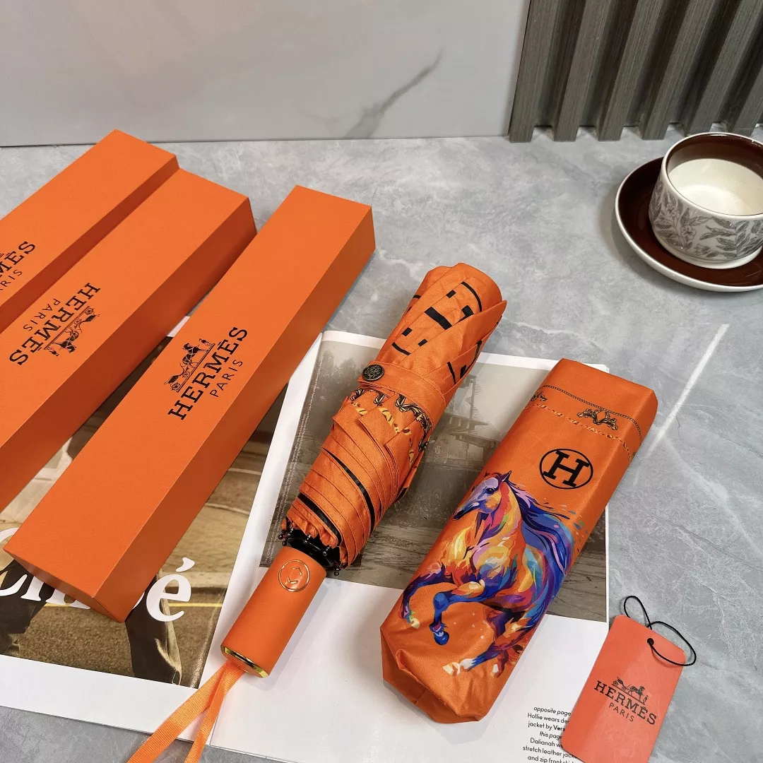 Hermes Umbrellas Flexible 1471