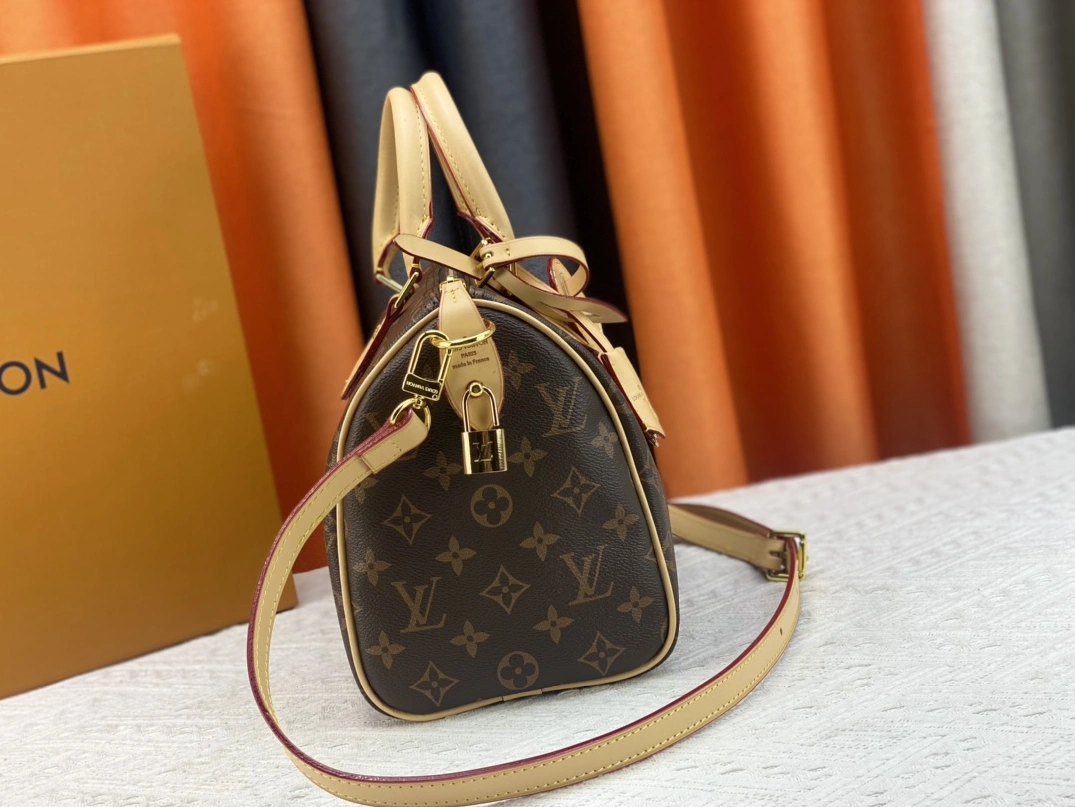 Louis Vuitton AAA Quality Handbags For Women Comfortable 7421