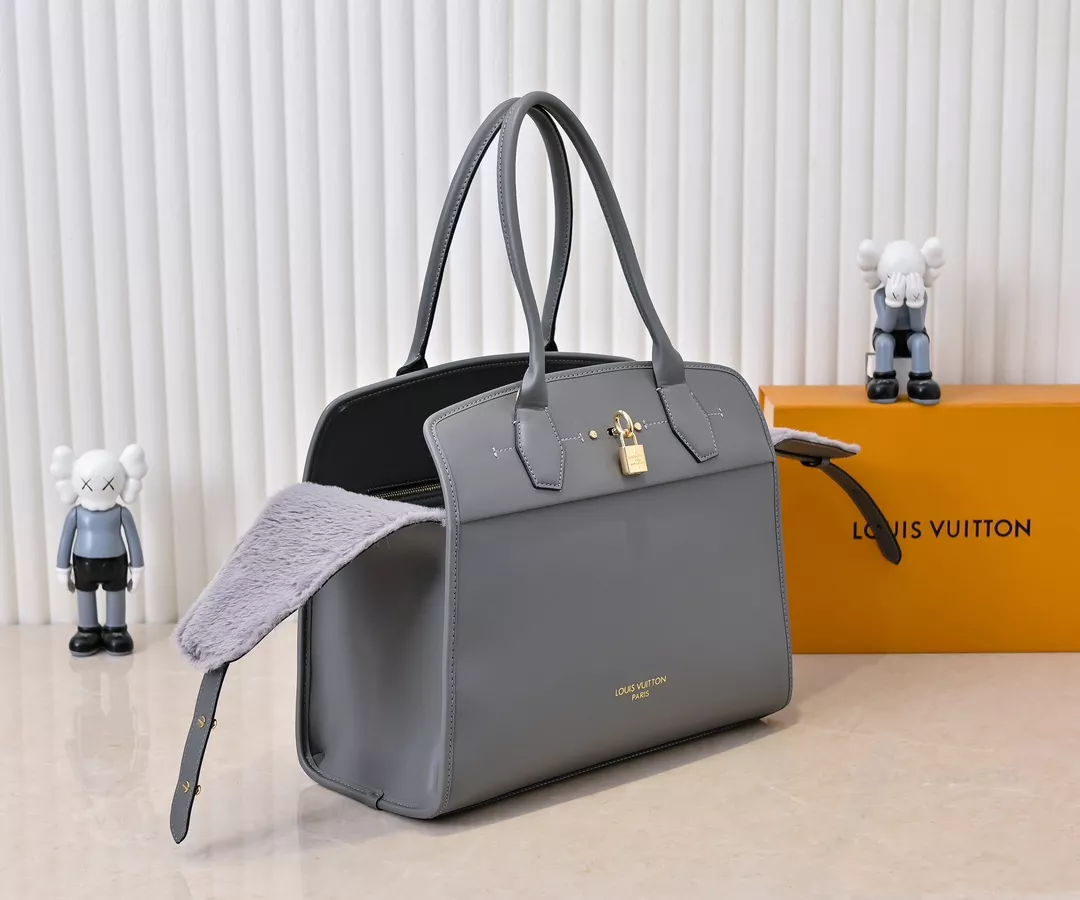 Louis Vuitton AAA Quality Handbags For Women Stylish 704