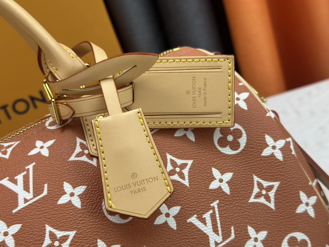 Louis Vuitton AAA Quality Handbags For Women Versatile 5332 - Image 6