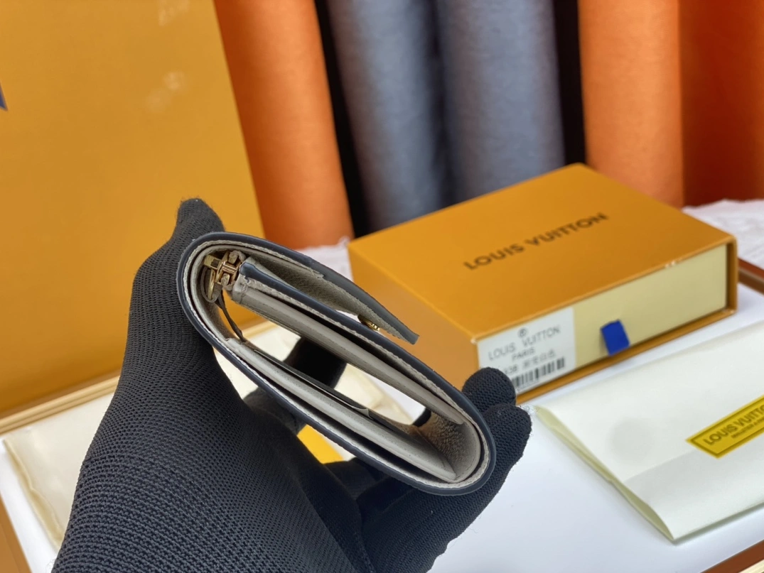 Louis Vuitton AAA Quality Wallets GoAnywhere 4257 - Image 5