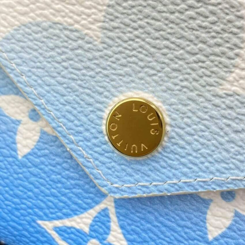 Goldcolou Louis Vuitton Victorine Wallet Blue - Image 6