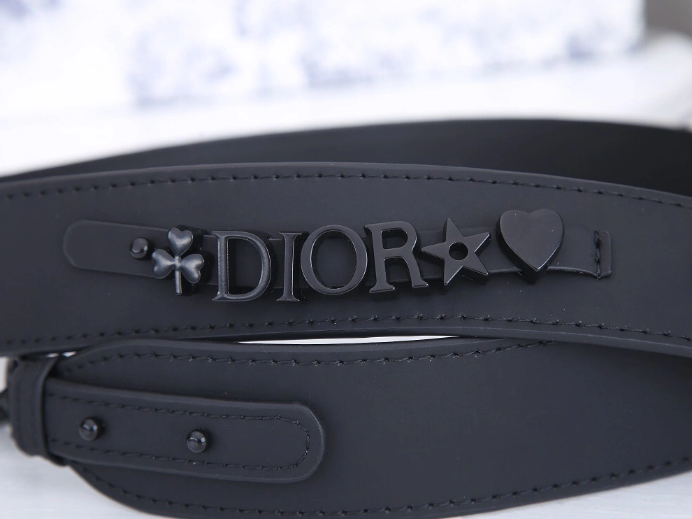 Minimalist 5946 Christian Dior AAA Quality Messenger Bags For Women - Image 4