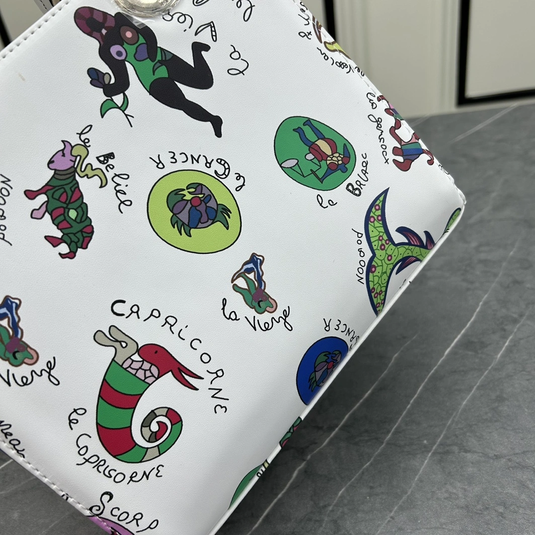 Minimalist 6600 Christian Dior AAA Quality Handbags For Women - Image 6