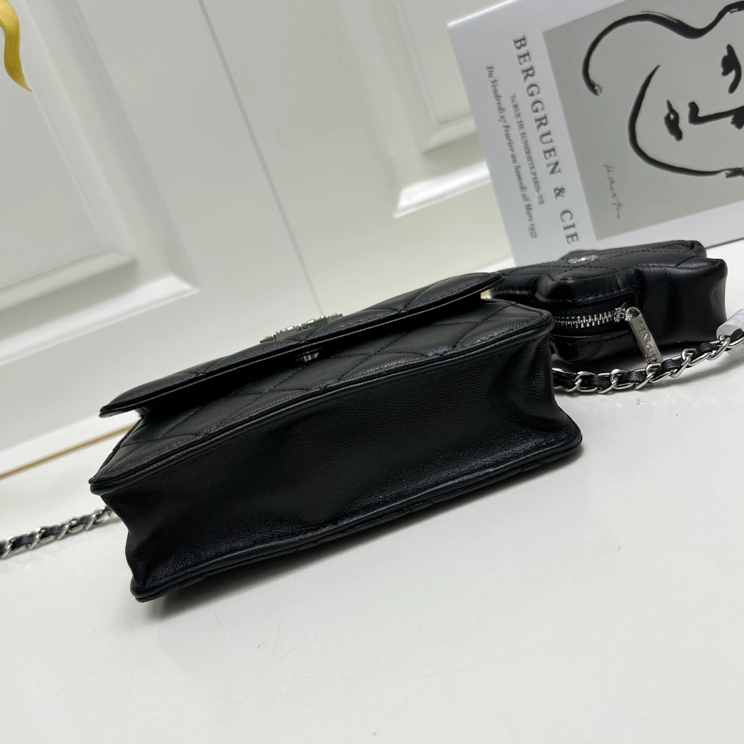 Timeless 6595 Chanel AAA Quality Messenger Bags For Women - Image 6