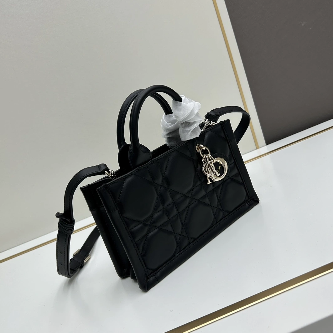 Trendsetting 4663 Christian Dior AAA Quality Handbags For Women