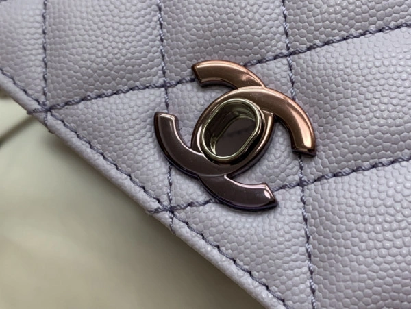 SmartChoice CHANEL FLAP BAG WITH TOP HANDLE 1000 - Image 5