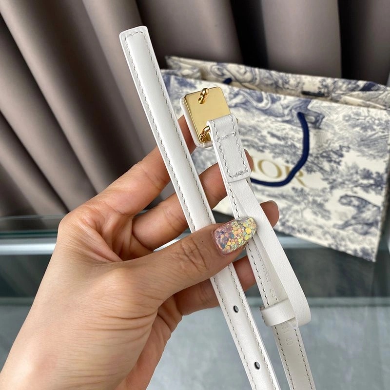 Dior Small Bobby Belt Smooth Calfskin White - Image 3