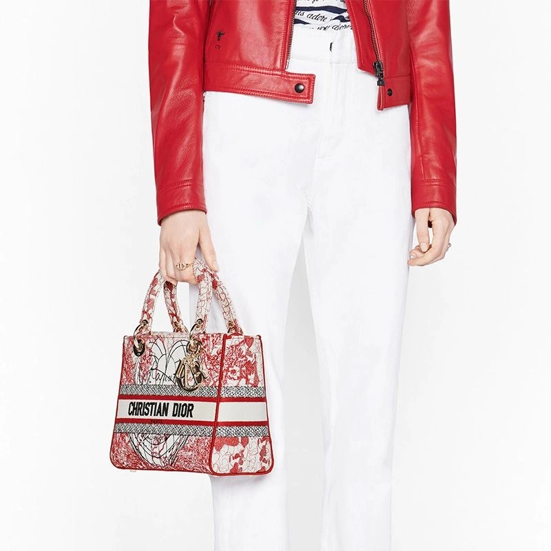 Medium Lady D-lite Bag Dioramour D-Royaume d'Amour Motif Canvas Red White - Image 5